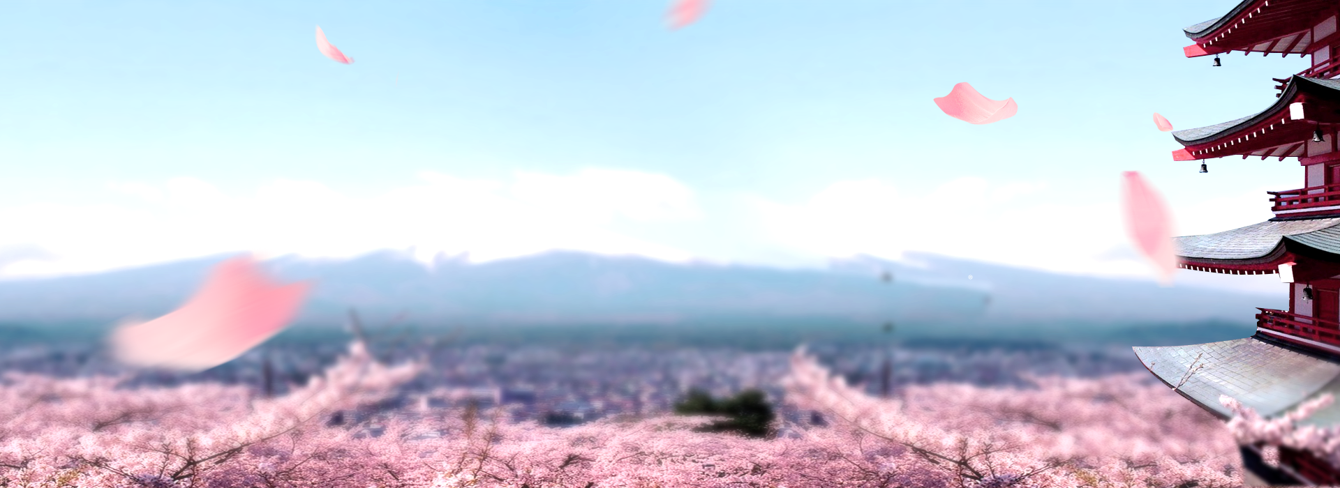 店舗ギャラリー