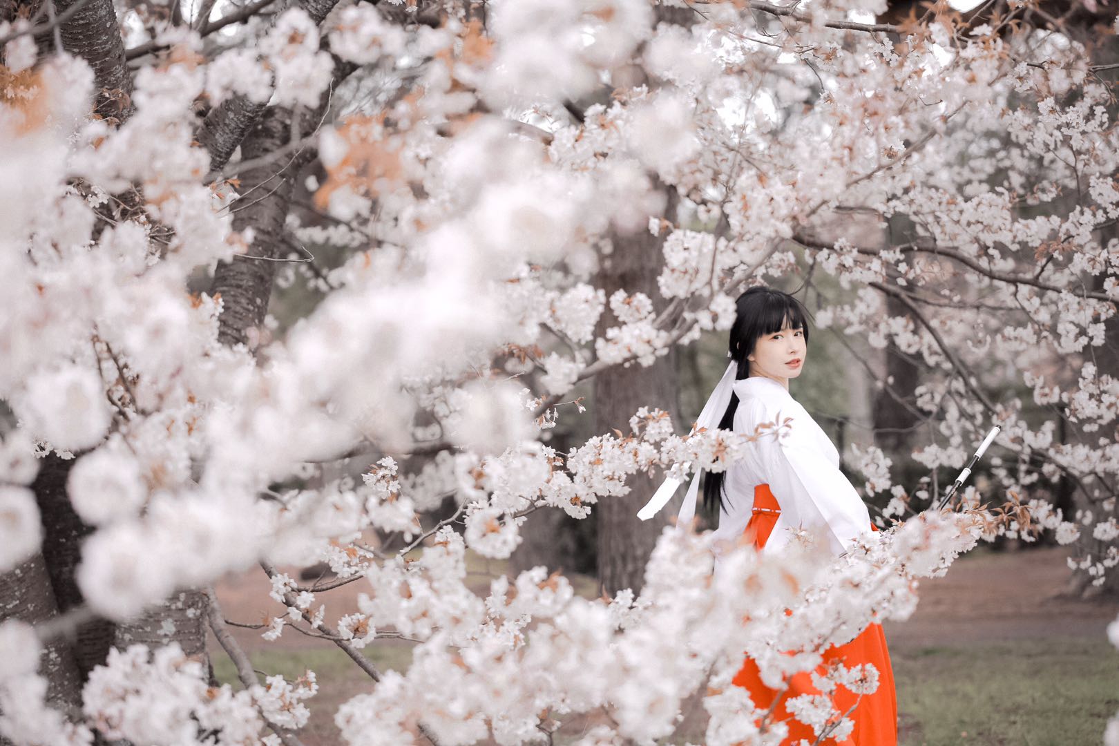 着付け教室開催決定